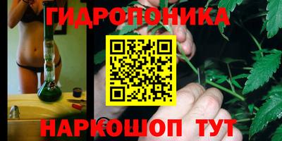 бошки Берёзовский