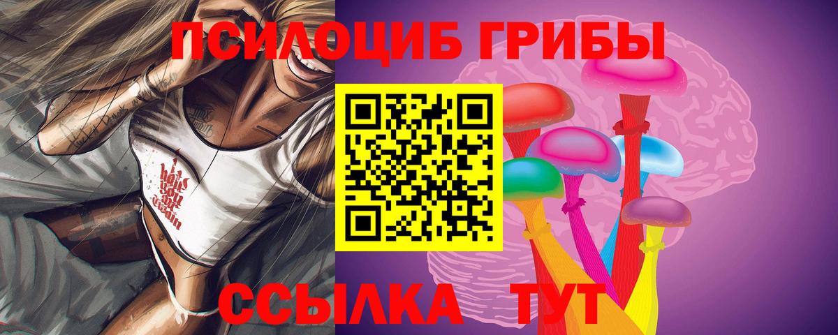 Псилоцибиновые грибы прущие грибы Кимры